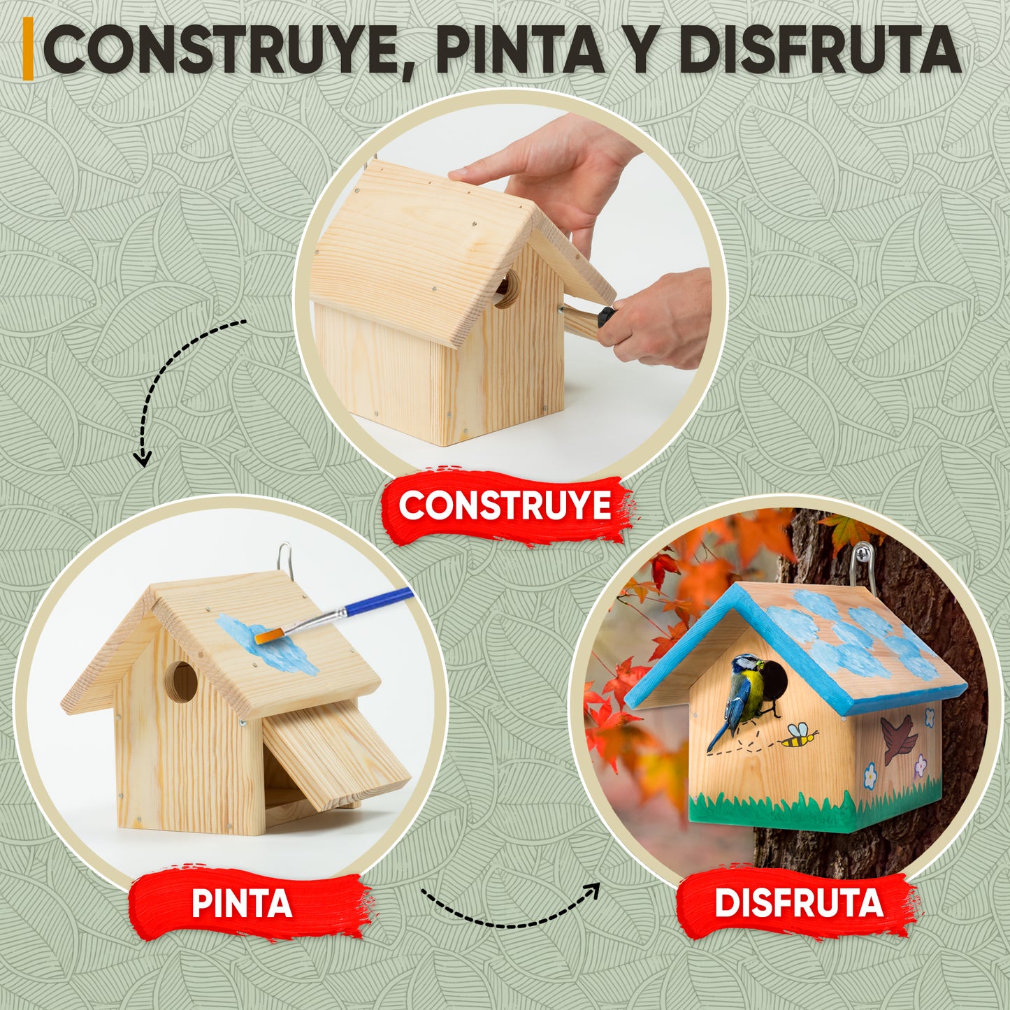 Mice&Co - Caseta para Pájaros DIY - Kit de Montaje con Pinturas, Kit Manualidades para Niños - Mice&Co