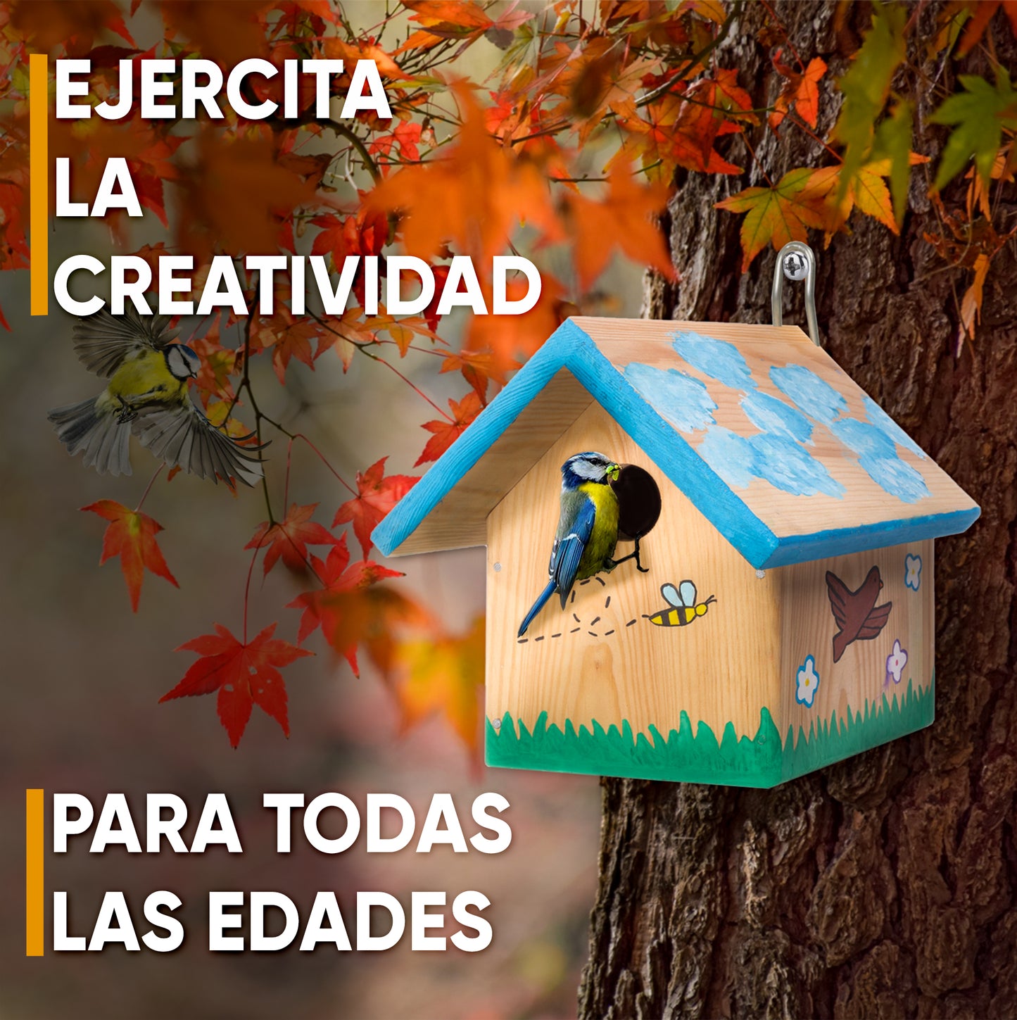 Mice&Co - Caseta para Pájaros DIY - Kit de Montaje con Pinturas, Kit Manualidades para Niños - Mice&Co