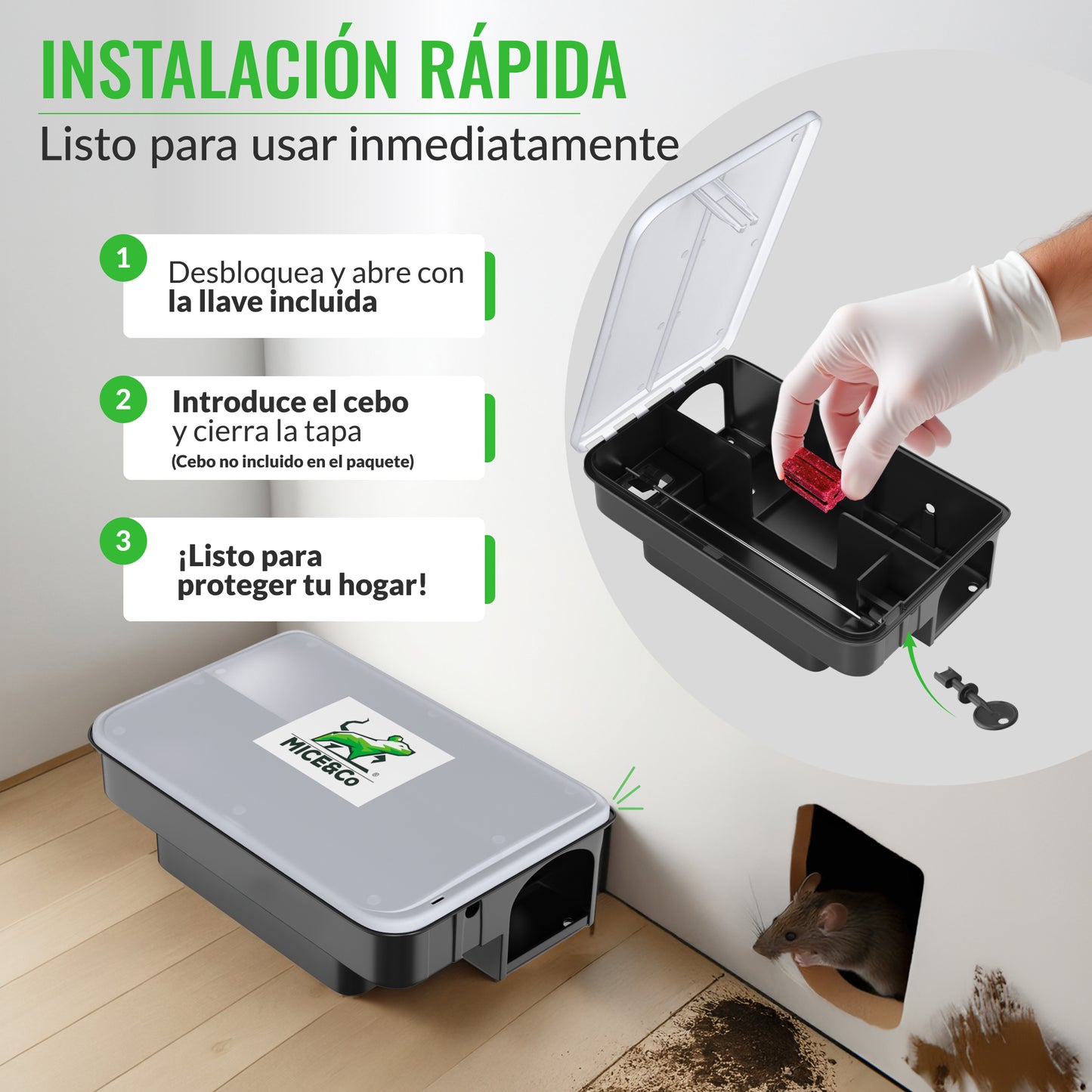Portacebos para Ratas con Tapa Transparente - Pack 4 Unidades - Mice&Co