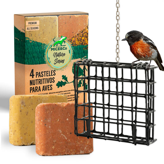 Comedero Colgante para Pájaros Exterior - Alimentador de Aves Silvestres con 4 Pasteles de Sebo Nutritivos - Mice&Co