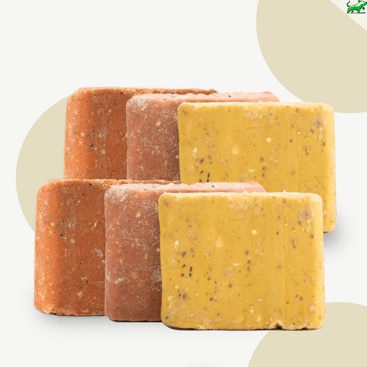 Pasteles de Sebo para Aves Silvestres - Bizcochos de Sebo Naturales para Pájaros Salvajes, 6 unidades - Mice&Co