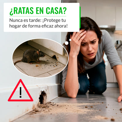 Portacebos para Ratas Grande Profesional - Pack 2 Unidades - Mice&Co