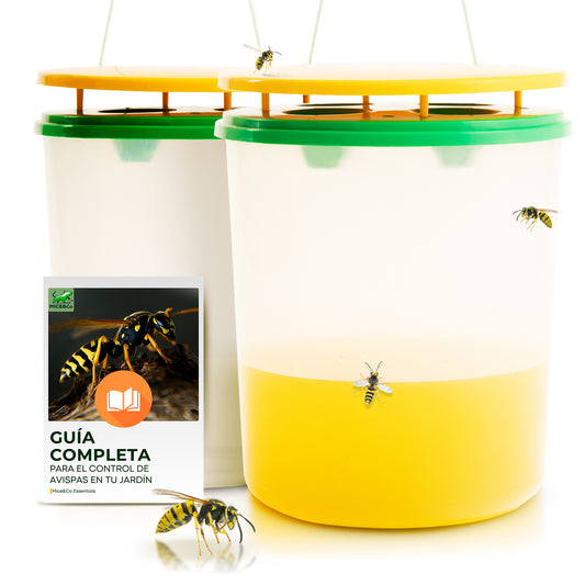 Mice&Co Trampa para Avispas Profesional - Acaba con la Avispa Asiática - Pack 2 Unidades - Mice&Co