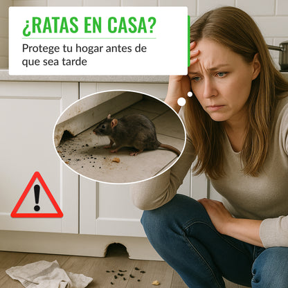 Portacebos para Ratas con Tapa Transparente - Pack 4 Unidades - Mice&Co