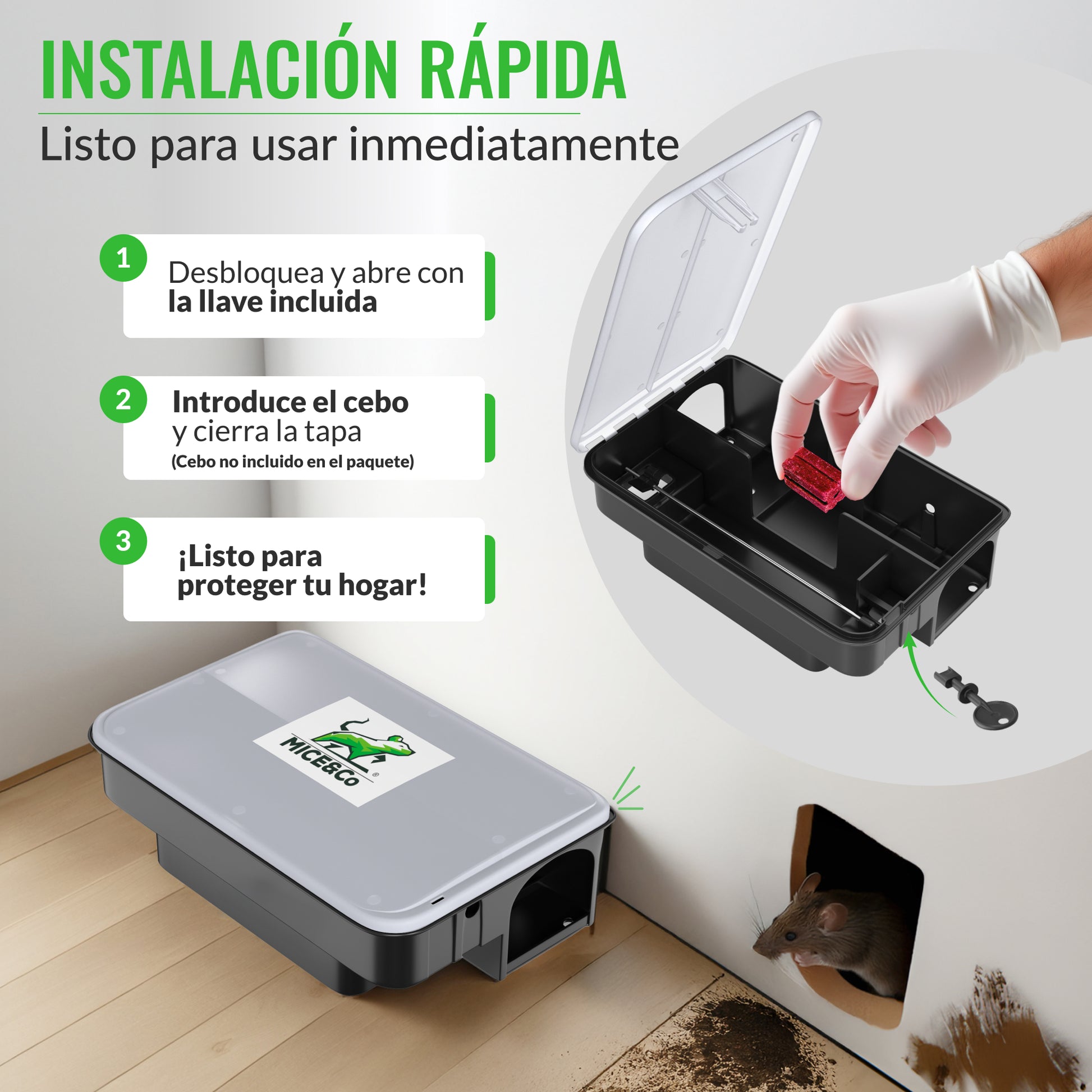 Portacebos para Ratas con Tapa Transparente - Pack 4 Unidades - Mice&Co